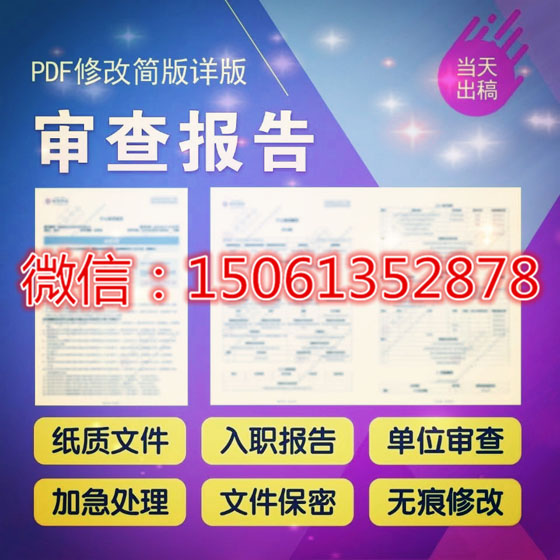 简版个人征信报告模板里个人征信PDF电子版修改的成果